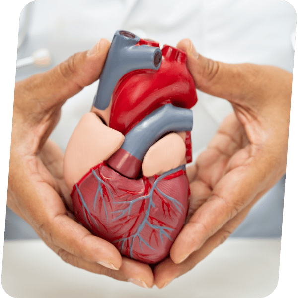 Ressonância Magnética Cardiovascular