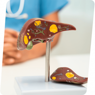 Anátomo Patológico em Cachoeirinha